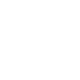 Coins icon