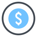 dollar icon