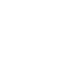 EV Icon