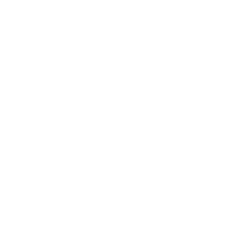 Tesla icon