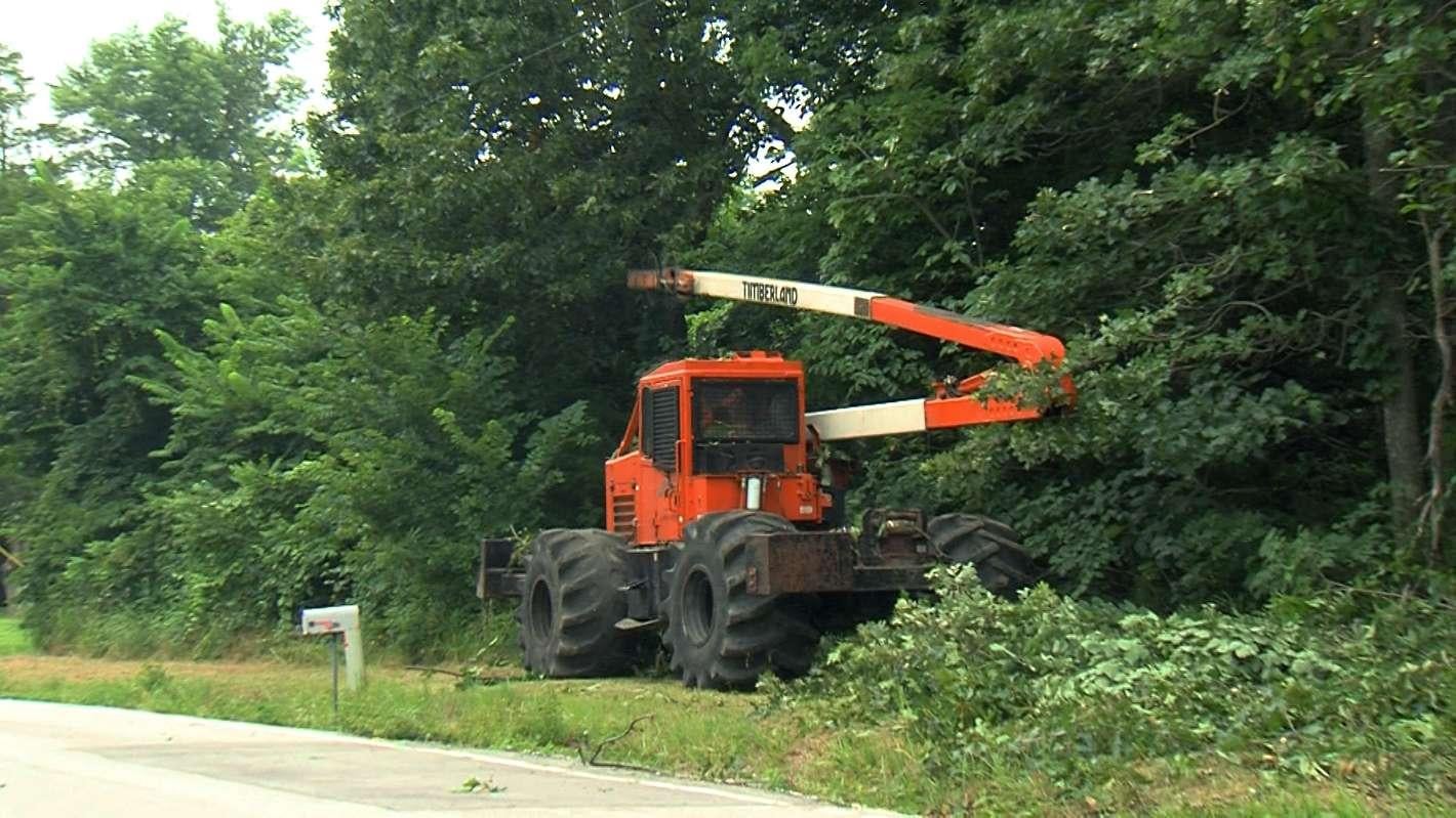 Tree trimming machine by side of road