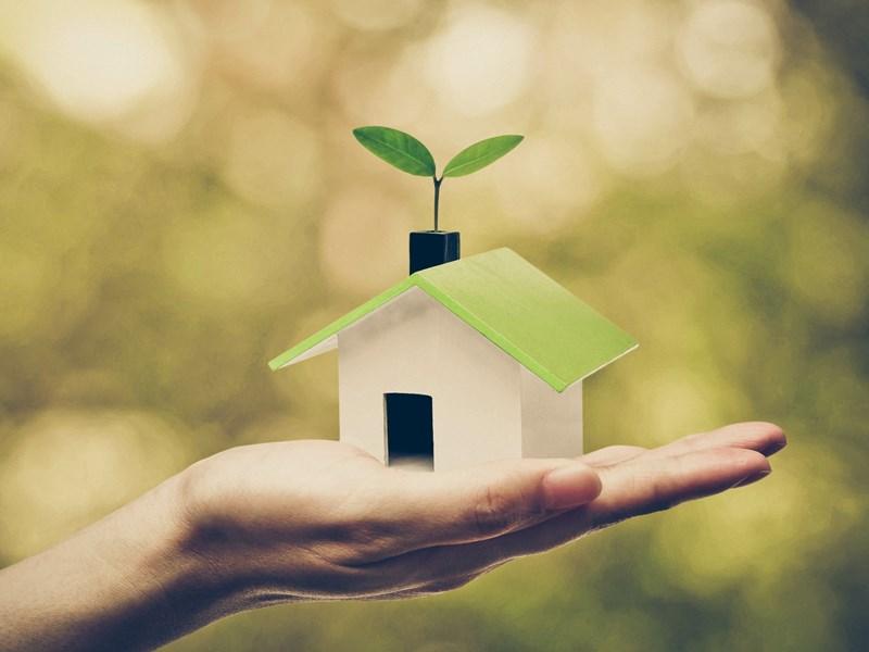 green home in palm of hand