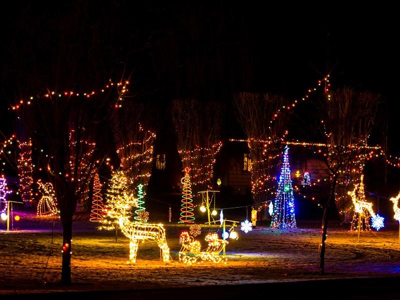 outdoor holiday lights