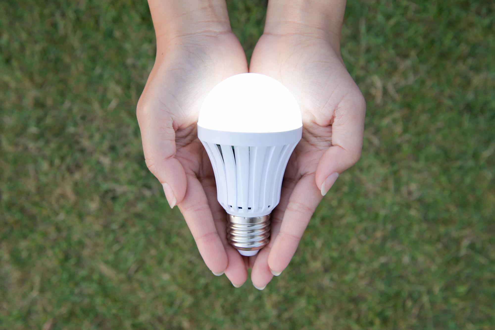 View from above female hands holding LED bulb with blurry grass in back ground