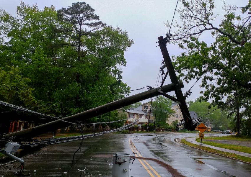 Fallen powerline.
